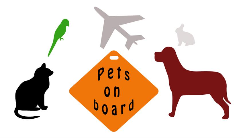 In viaggio con i pets In viaggio con i pets